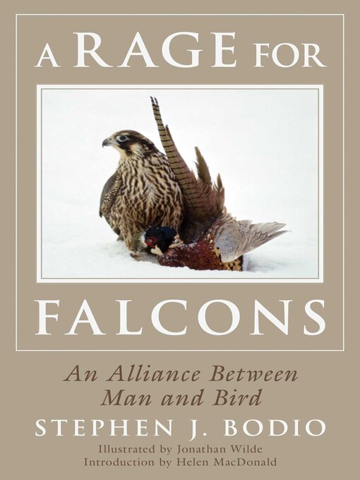 Title details for A Rage for Falcons by Stephen Bodio - Available